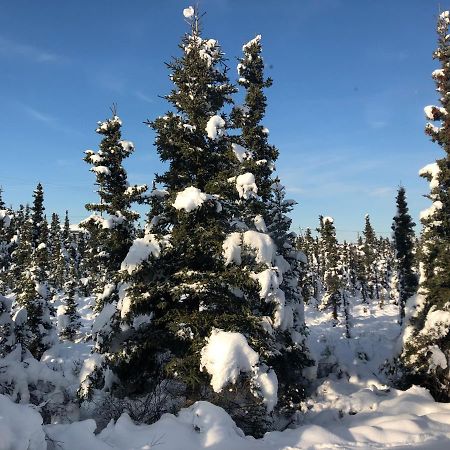 Aurora Denali Lodge 힐리 외부 사진