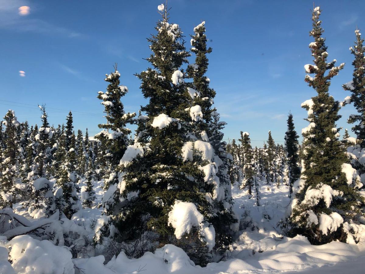 Aurora Denali Lodge 힐리 외부 사진