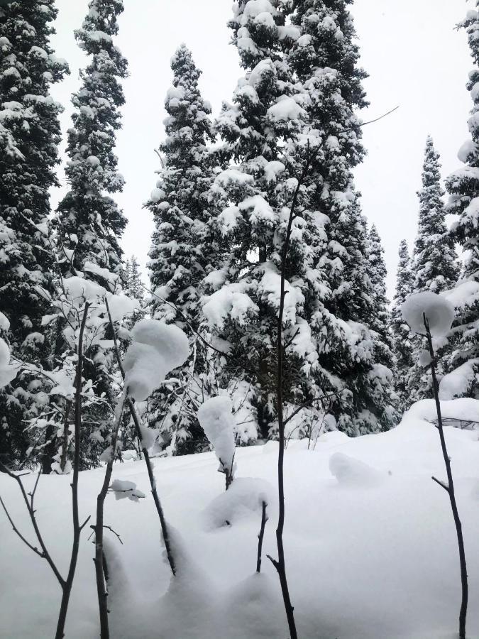 Aurora Denali Lodge 힐리 외부 사진