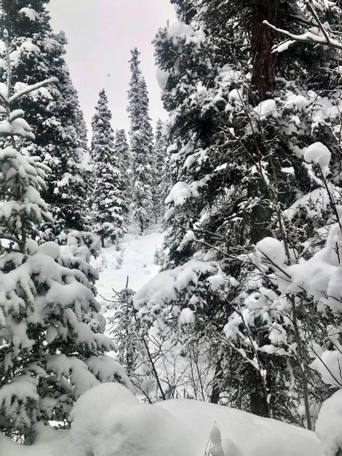 Aurora Denali Lodge 힐리 외부 사진