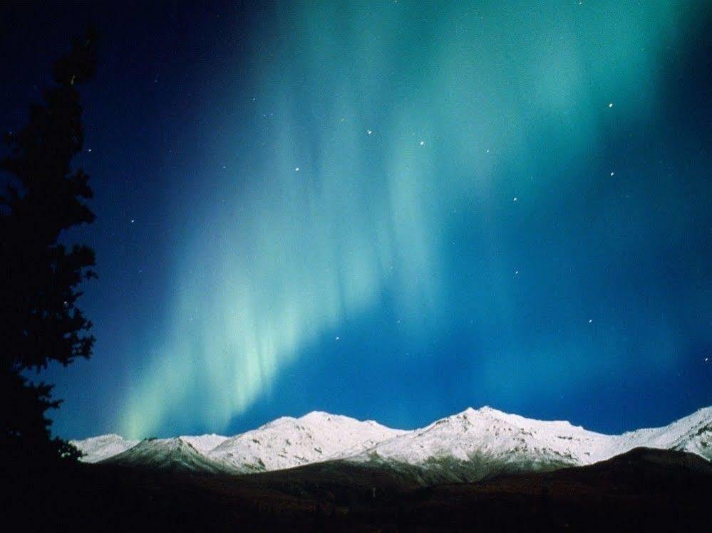 Aurora Denali Lodge 힐리 외부 사진